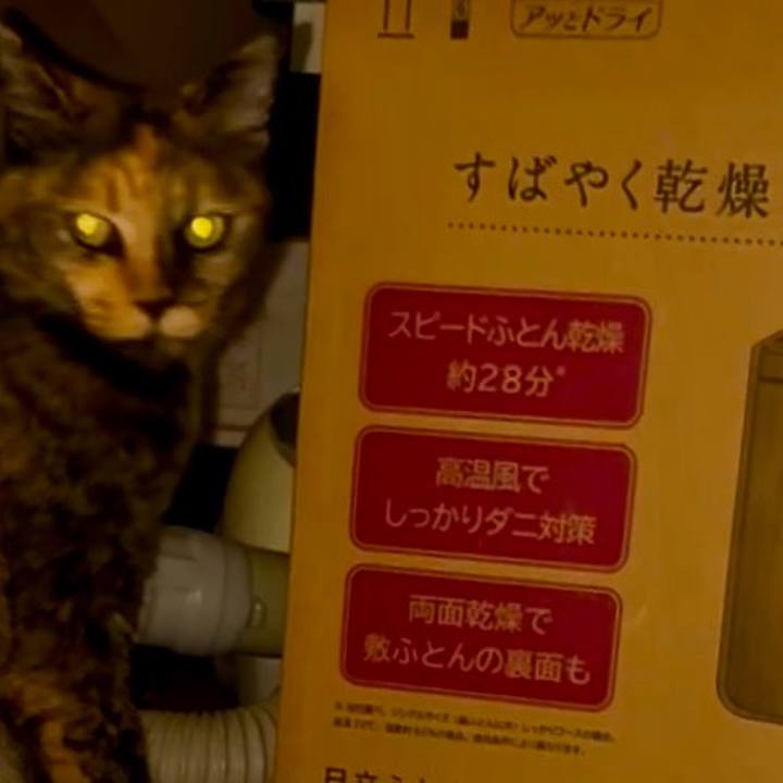 5f023d07 f1d4 4b90 8001 0026b2cfae03 1753304959075