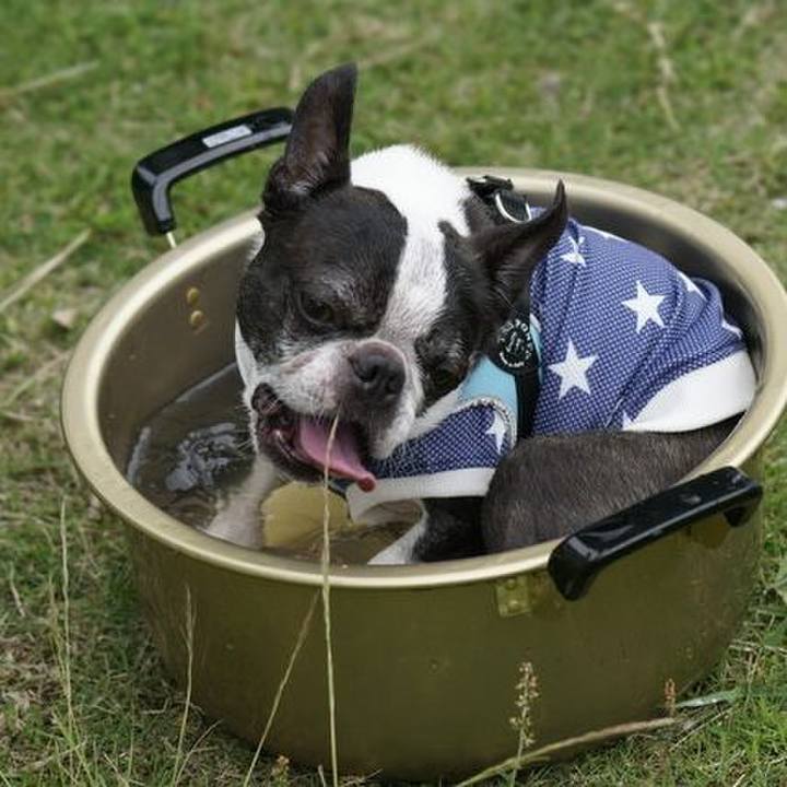 5f024892 5f23 4ff5 9521 15cc6375fa96 1528720857012