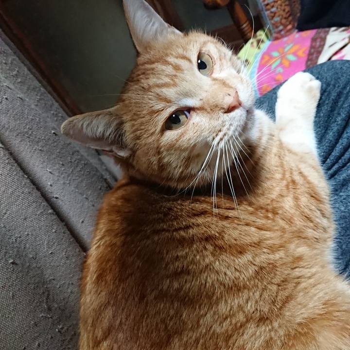 5f025447 e560 4f2e b78e 33e2504f3336 1578004013676