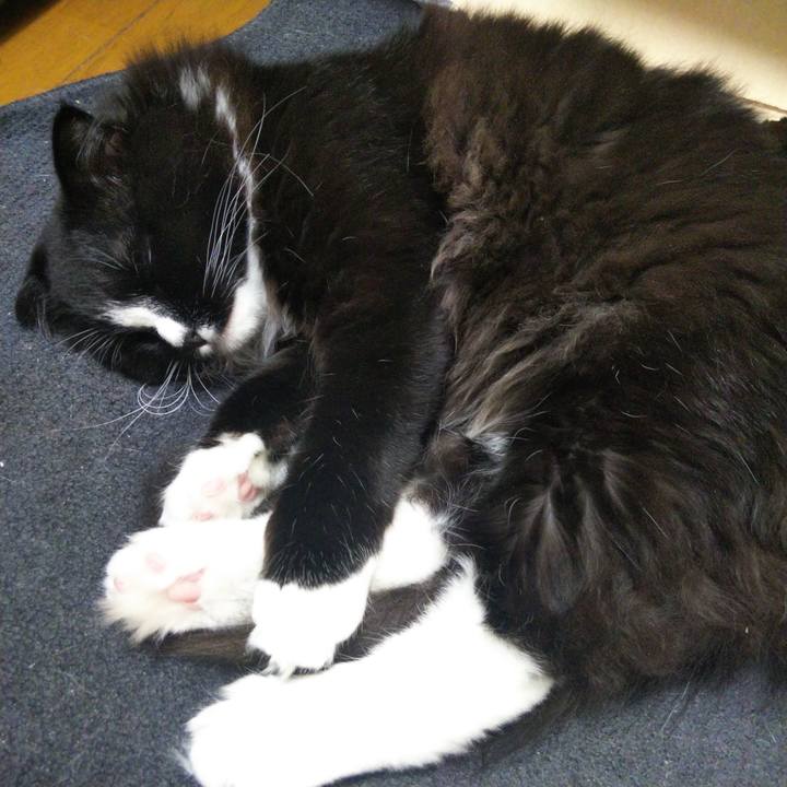 5f0282e2 c07e 4176 a61a dda6a8efa548 1649996685895