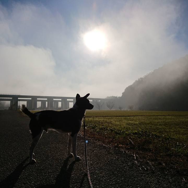 5f02aa3a 93e7 4e39 8542 f468bb25e502 1510295148799