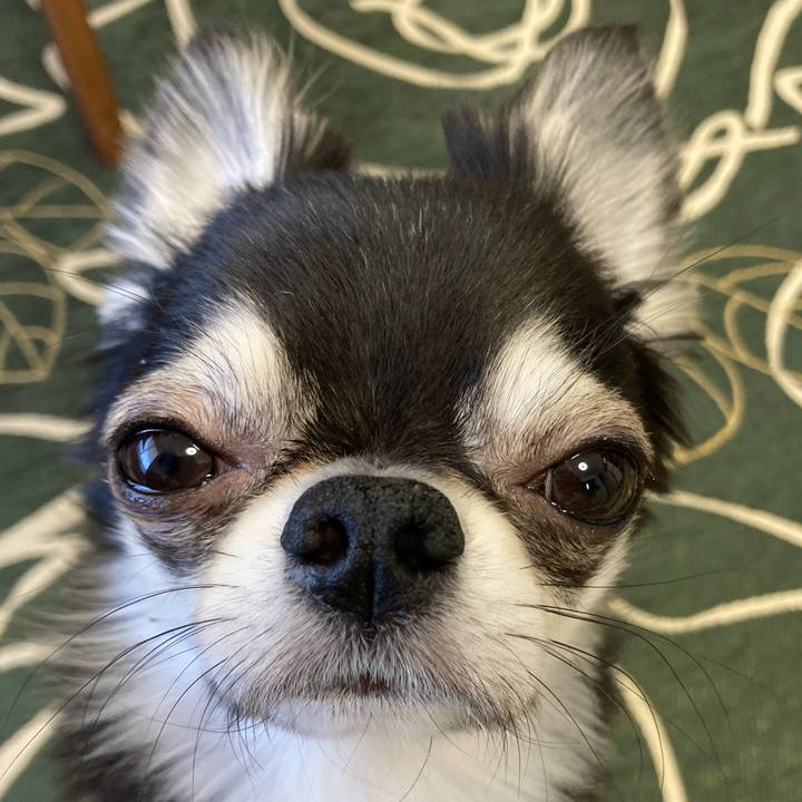 5f02af09 33dc 4a9a a7a7 2a0b04e2ef30 1645831937380