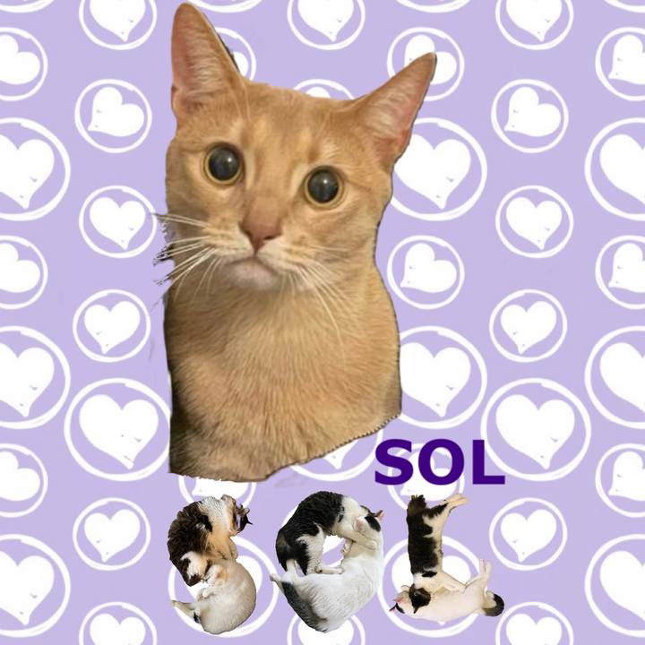 5f02b5f9 7045 4c5a 9496 4793a90035c1 1668663241668