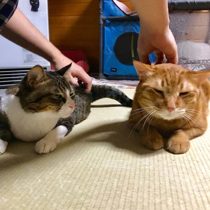 5f02d102 d543 4eb2 877d 0e69bd75ecbc 1514722796043