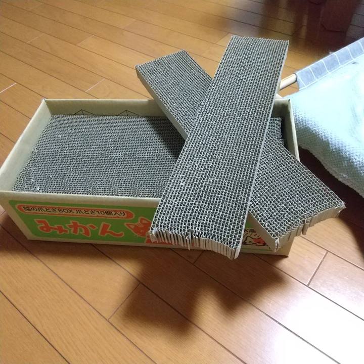 5f02dd1b a37e 438b af8f 54b5d5c0b5ef 1706097689814