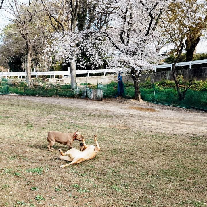 5f02e31d a335 4f43 aa6f 529bef81349c 1775351943570