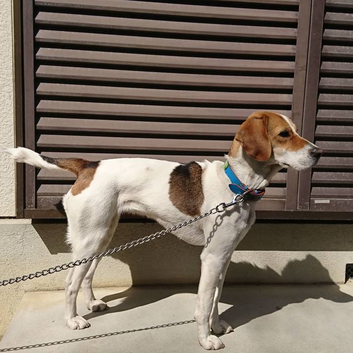 5f033fc4 b542 4377 9243 96856973673e 1567086923949