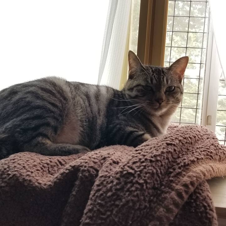 5f039258 7a77 47ab 9115 70408b09ddb1 1691492496672