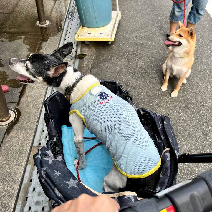 5f039874 8c11 4fdd ac86 27930abc5b4e 1658537607586