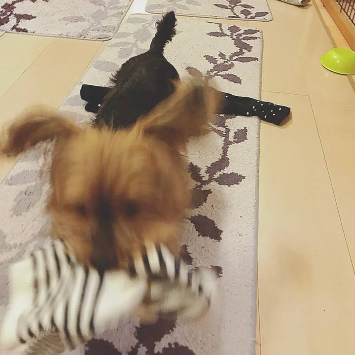 5f03b128 d5a4 436e a6b6 25cca32e122e 1528367911050