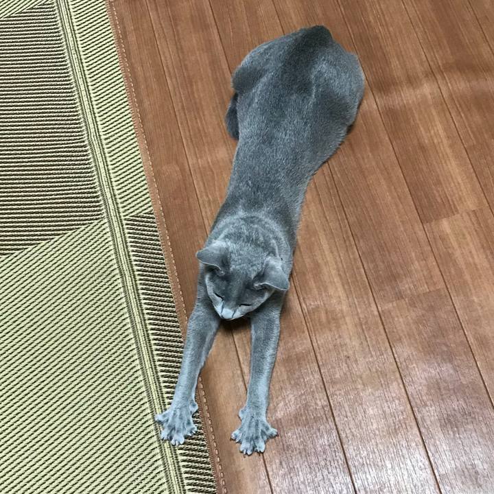 5f03f5eb ac5f 4d60 b46a a935f10fc56d 1519800941534