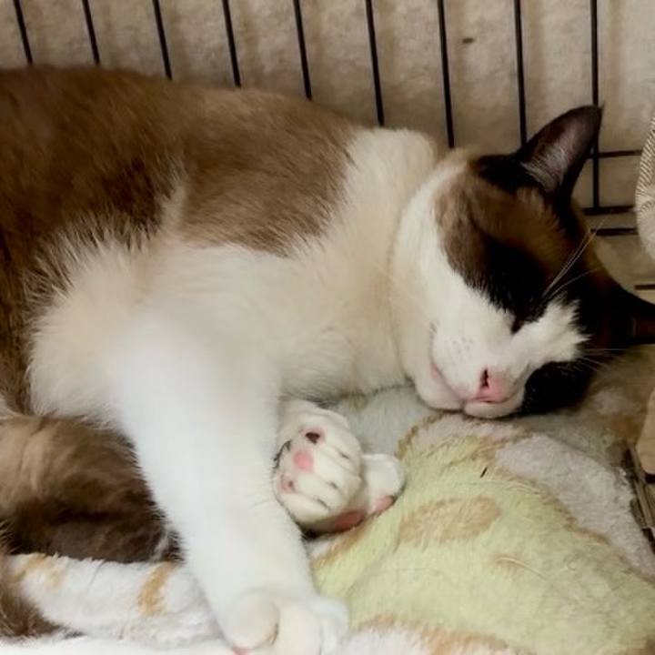 5f04094e ac74 4a48 b4c3 194291d0ef41 1751449741056