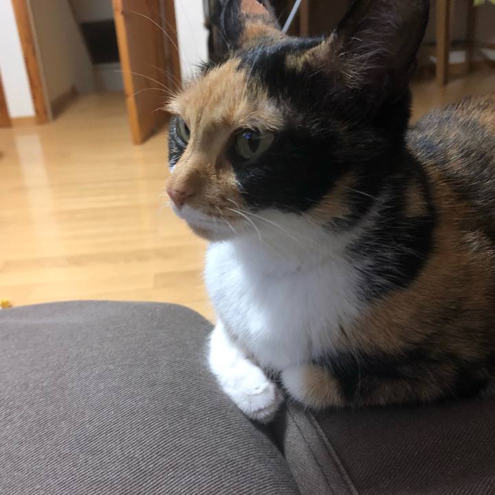 5f042d85 703a 4750 94e2 a2682c190c9c 1562417863145