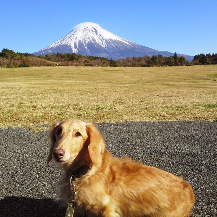 5f04326d 2610 4e1d 8252 d1f11ca3bf87 1767174837776