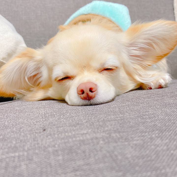 5f044c51 f4df 4b83 905a 08bb88911af5 1638861790522