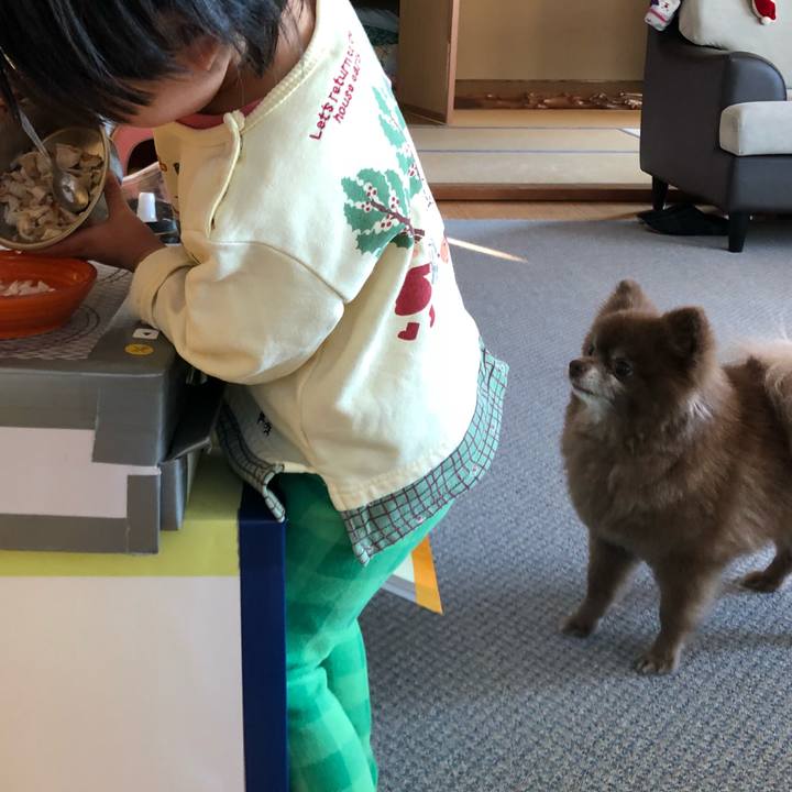 5f0472a5 6bd9 4a8d be54 49ebe5df9041 1554089531062