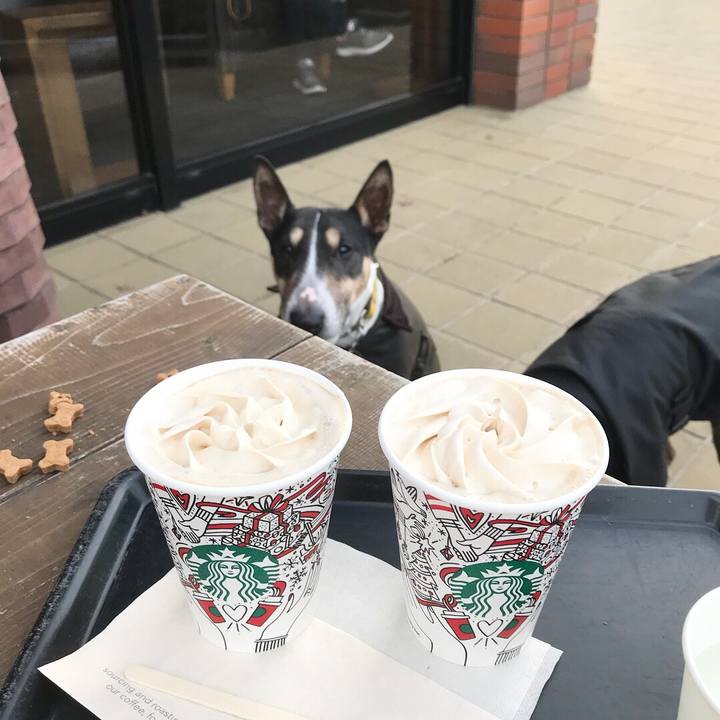 5f049dc5 488e 468b 8dfe 64afa7c09b76 1512895238897