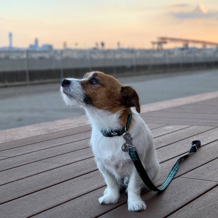 5f04aa36 e410 4f11 bfae 49ee9e2a9c3c 1540040023832