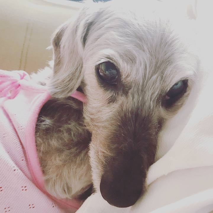 5f04c168 23d4 4118 be16 bd5c42e7fa45 1538956894918