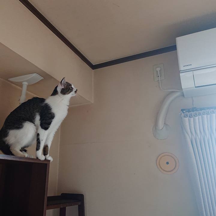 5f04f755 534b 4222 9230 88ff6ff76457 1622787093792