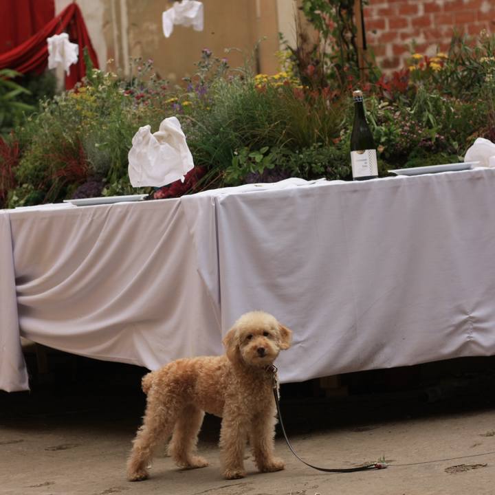 5f052342 7669 450a a357 3697278a4c8d 1527016534722