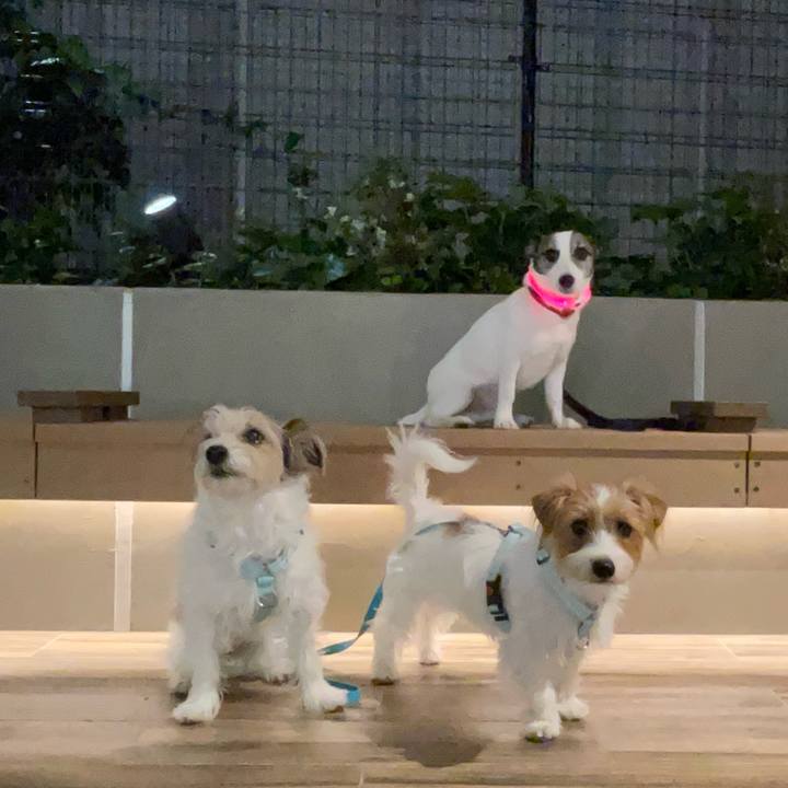 5f054039 08a3 4b06 be96 d2647786e9b7 1777075045561