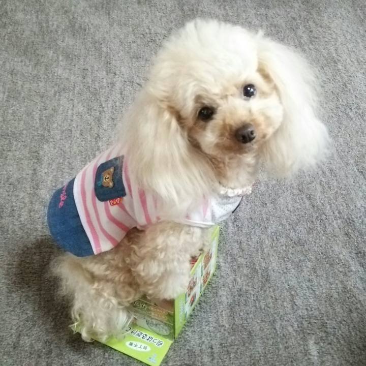 5f0546f7 752f 468f 8d20 f6375551ba32 1527336725963