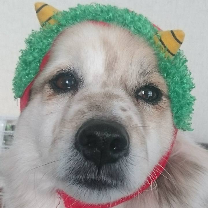 5f05a747 4f09 4506 85f5 6b84ef0dba09 1549457656989