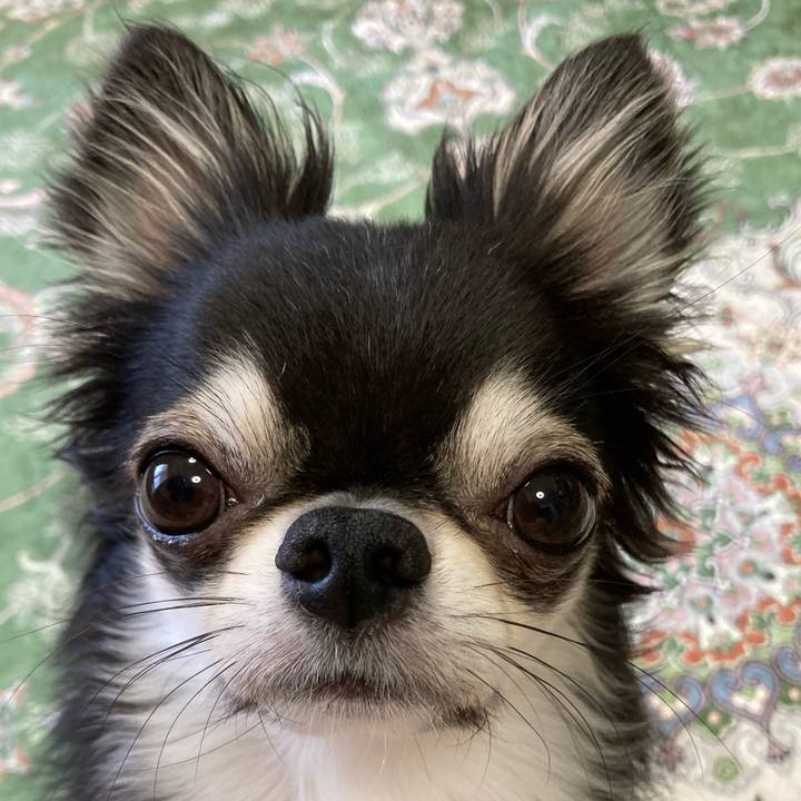 5f05ce89 db01 406e bcb8 84754992d029 1663369451778