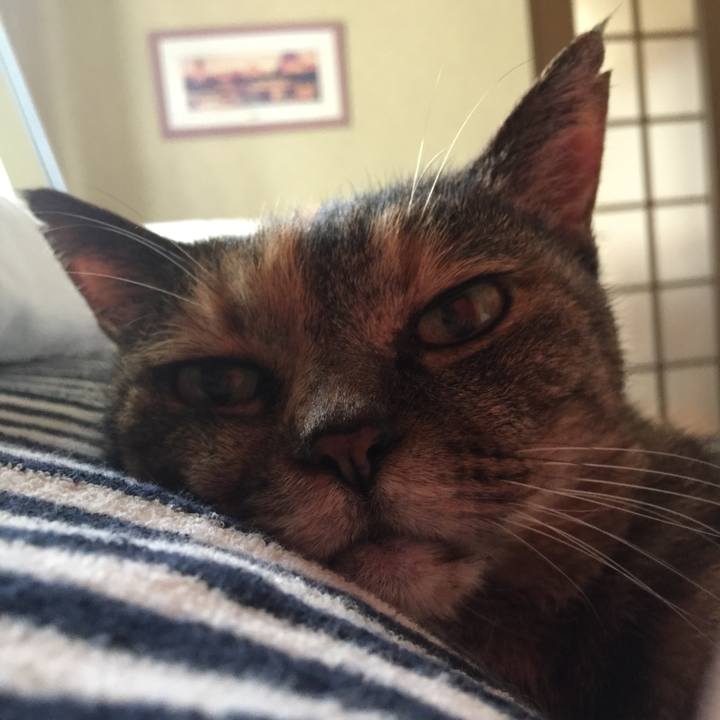 5f05f214 b0ef 41fd 9d6c 3e3bfdefaac5 1595206248718