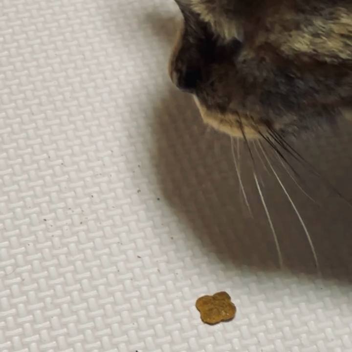 5f05ffd8 257f 4961 8d2d b9bbfef13446 1750152408534