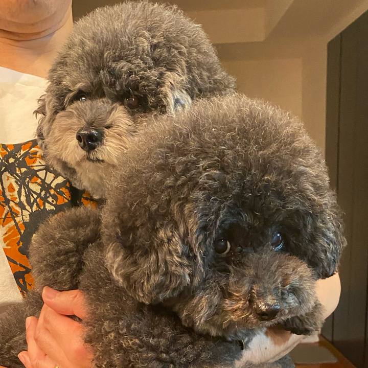 5f061b42 1e87 4f45 994b 5bb6125a0a3d 1633597930696