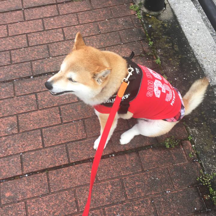 5f0635aa ed6f 47ef 818d c9f6bed41e95 1579836831740