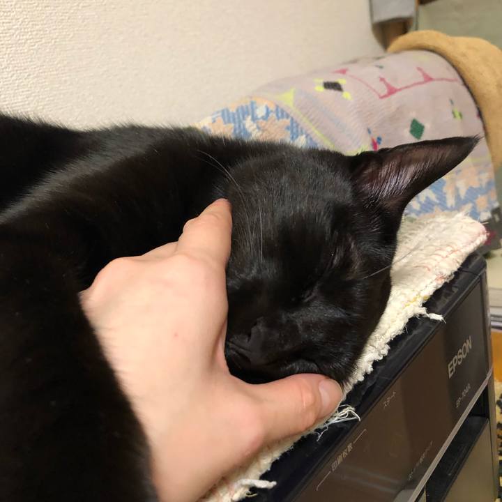 5f067347 c0bd 4f44 8342 e4718c52f745 1544616668966