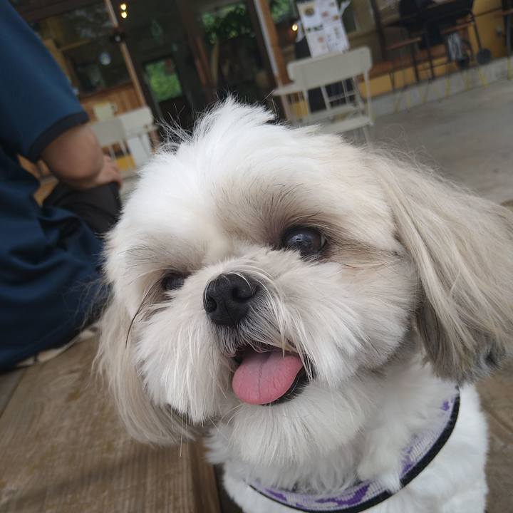 5f06ebb8 1586 4304 9b70 299a62acfca5 1657861690355