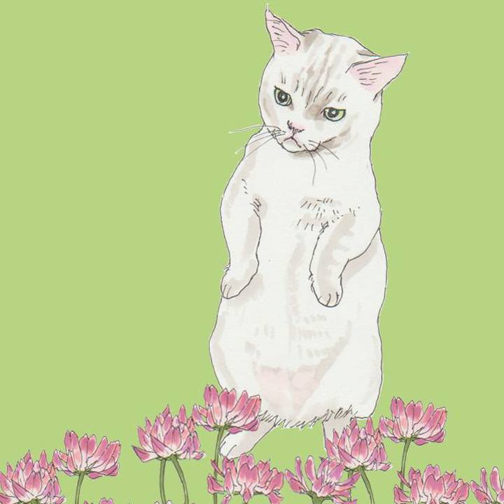 5f072bb4 4e83 44f7 8608 083987382361 1625385357486