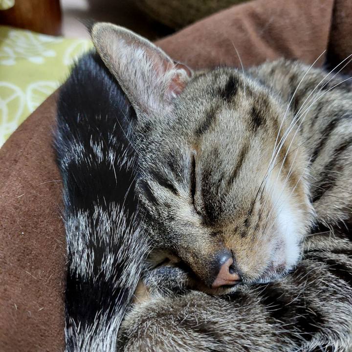 5f074490 45d7 4848 ad40 0f6095a6c75e 1679998856305