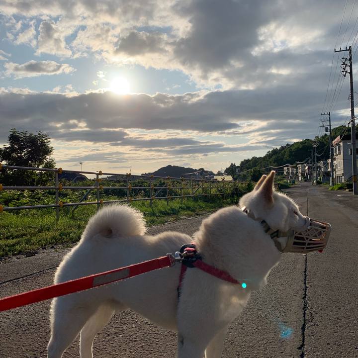 5f074bb0 1d13 490a b07b 108364590345 1567288455714