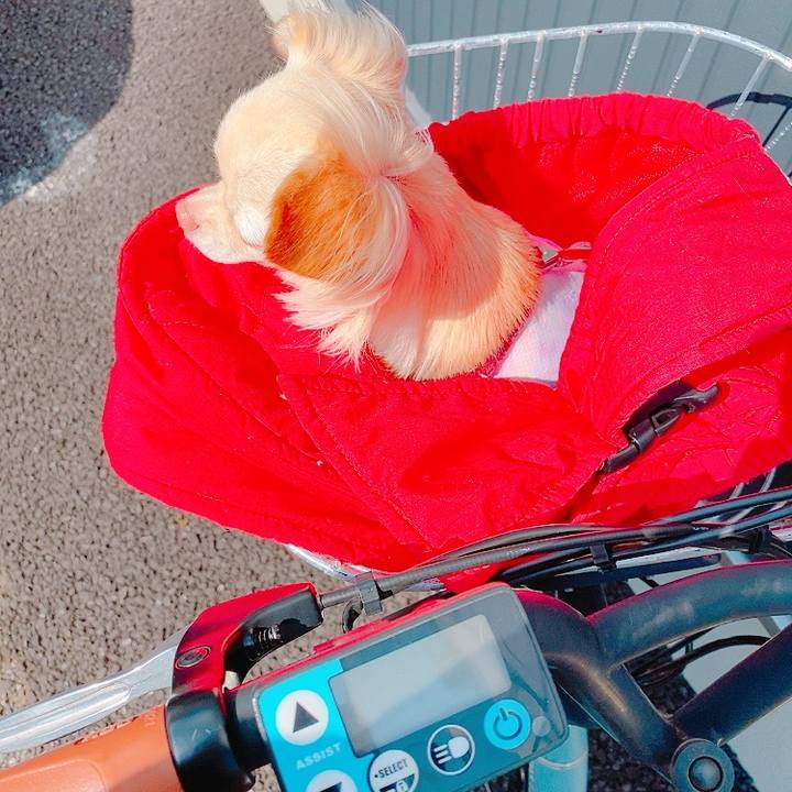 5f07705d d767 487f a974 88ad2f5d80fe 1628132077283