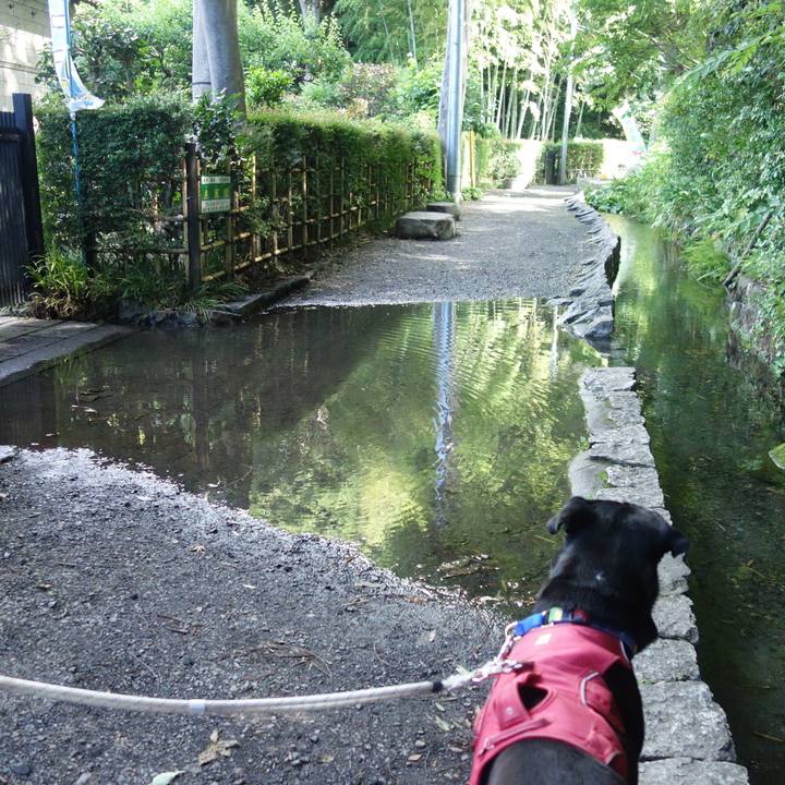 5f0782da 8271 472e 8bbd c411ffa61a1d 1685839399626