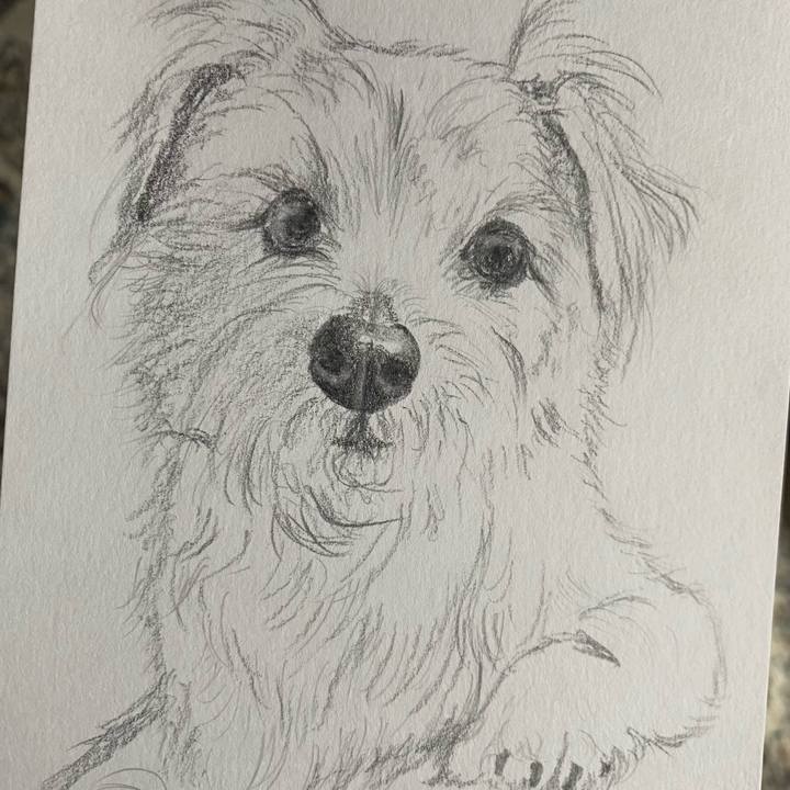 5f07ba47 23ef 460c ba7d 3ccf74a3084a 1653107540670