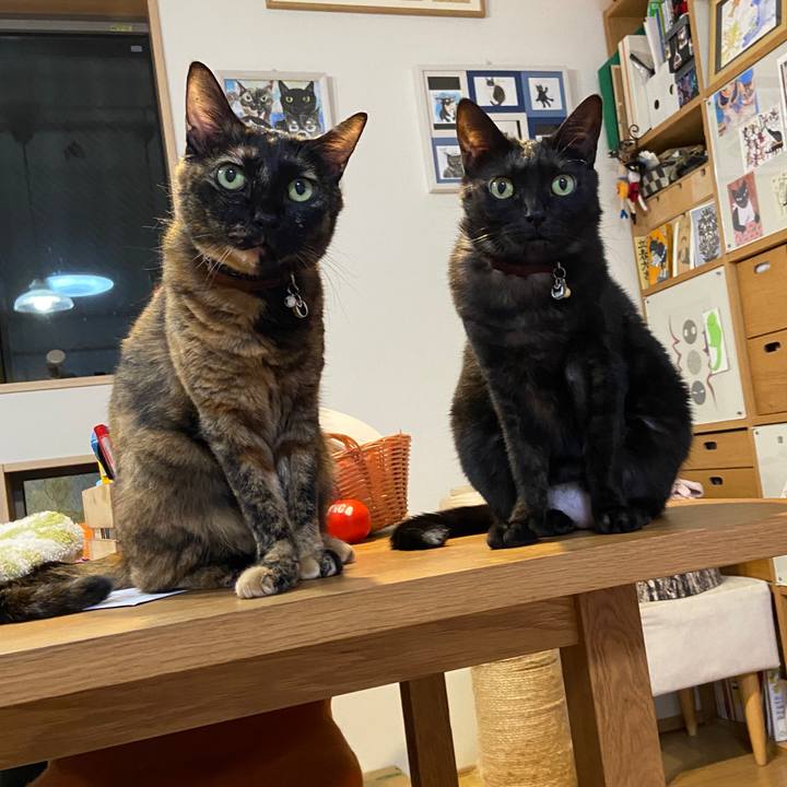 5f07d0be 161e 4c22 9b2a 18d0075d42d7 1694701162727