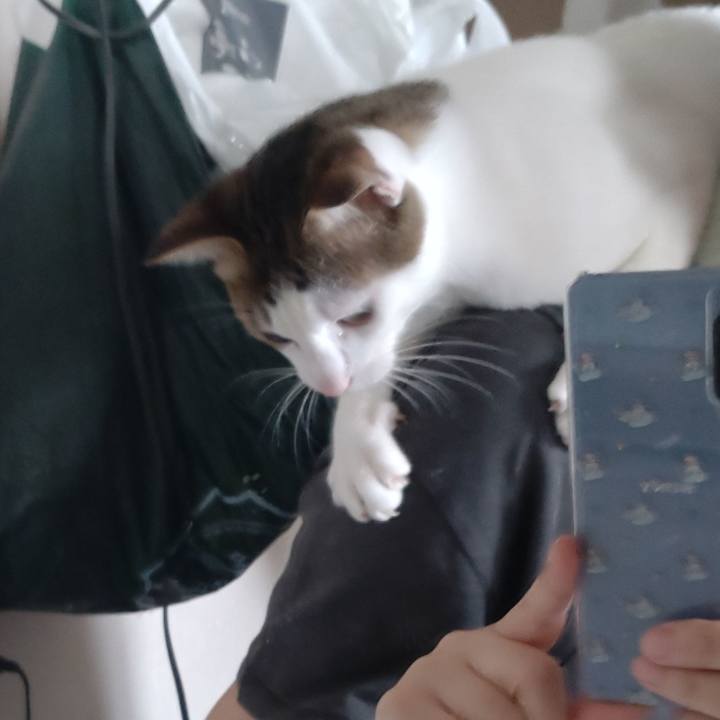 5f080a52 6a9a 4fec 976e a4efd8d700fc 1690079601143