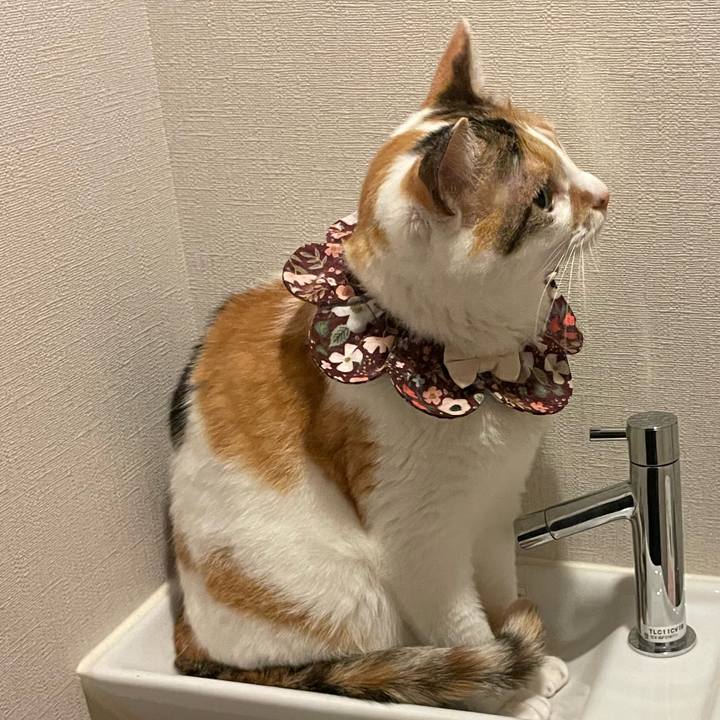 5f081397 d2a5 4d0c 8227 6e3ec46cb5c6 1749470401520