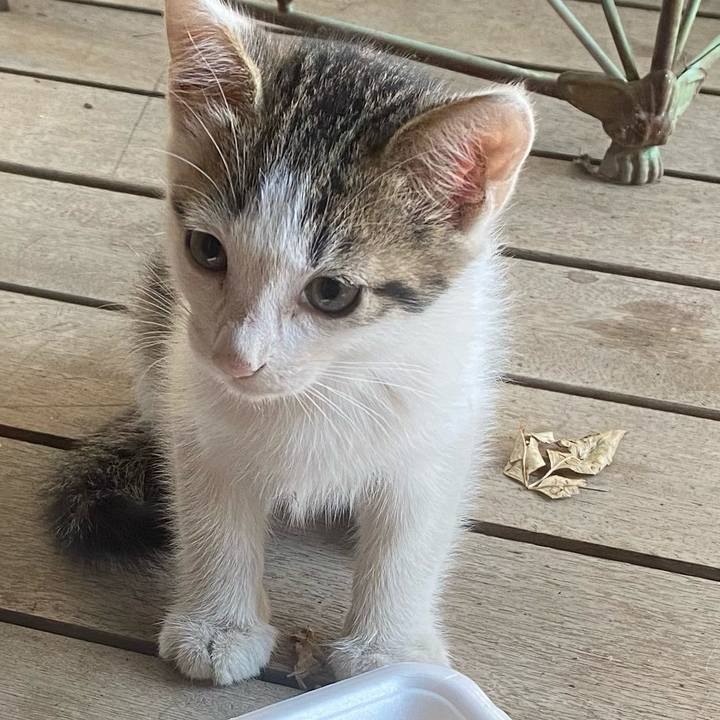 5f08432e 9ec3 4a1f bac2 a72bad53d3da 1629545142865