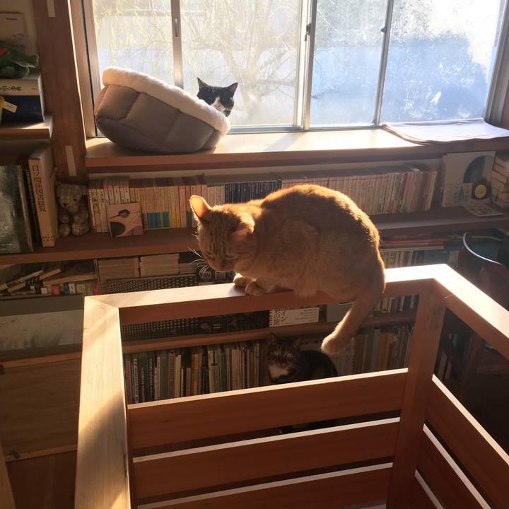 5f084d20 ba93 4956 b1bc 1bd4f3b3a8dd 1580472270742