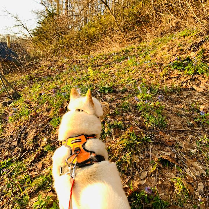 5f088def c3cd 40e9 8d62 87c17be0a44e 1619471265040