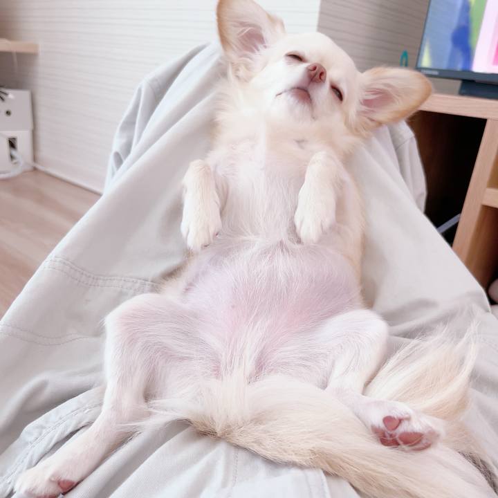 5f0898a0 9565 4898 a384 d07a61279c77 1693291343167