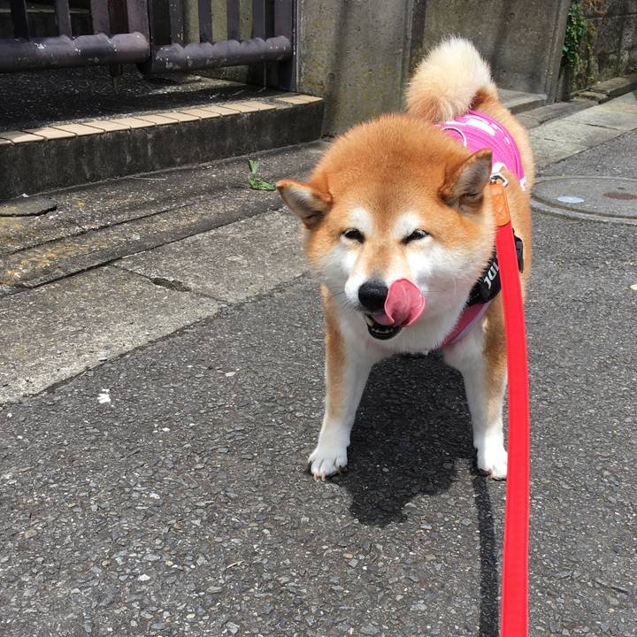 5f08d716 bf60 4558 8306 c6e15f16b98a 1594521383217