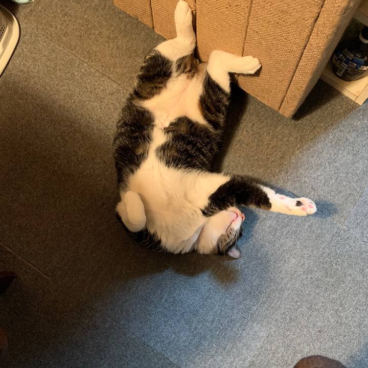 5f08eacc 0b04 4ed4 ae49 dd17841ade2a 1577107429144